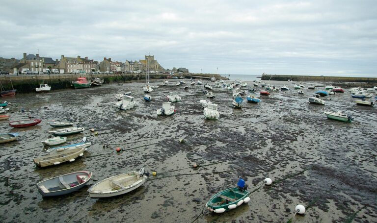 normandy, barfleur, port, low tide, mooring